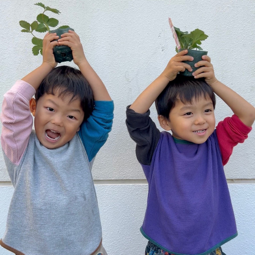 「子どもと家庭菜園に挑戦！」武智志穂の沖縄でのんびり双子育児 Vol.56